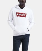 Levi's® Men's Graphic Pullover Hoodie