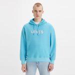 Levi's? Men's Relaxed Fit Graphic Hoodie