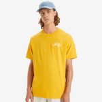 Levi's? Men's Relaxed Fit Short-Sleeve Graphic T-Shirt